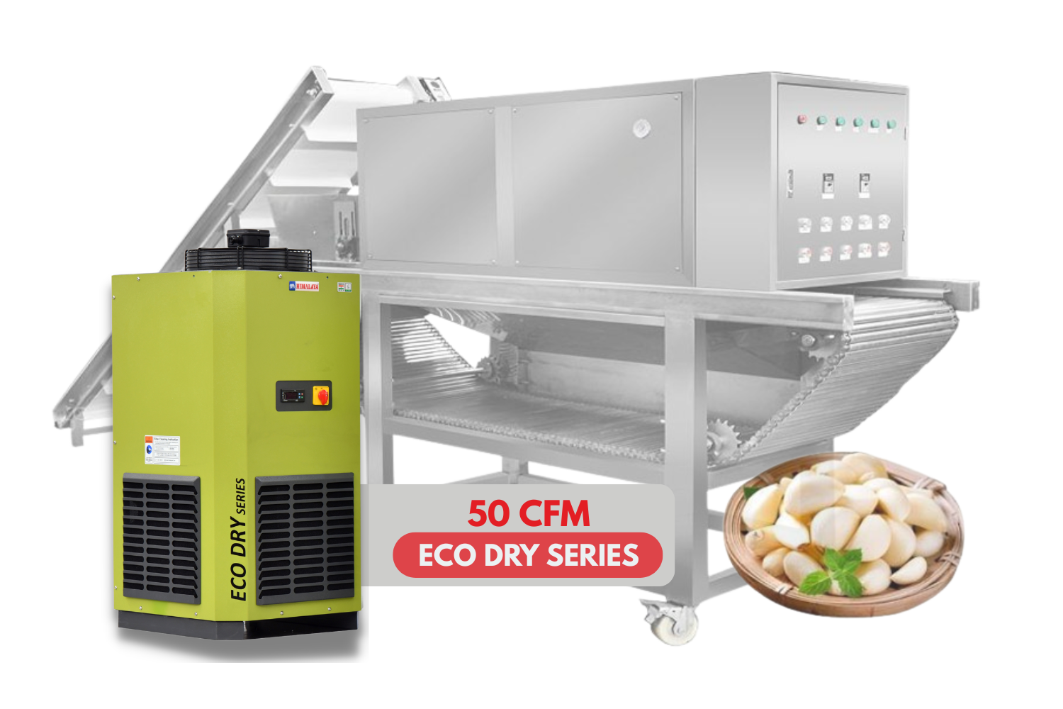 Flavoro Foods | Garlic Peeling| Eco Dry Series SS304 50 cfm air dryer 